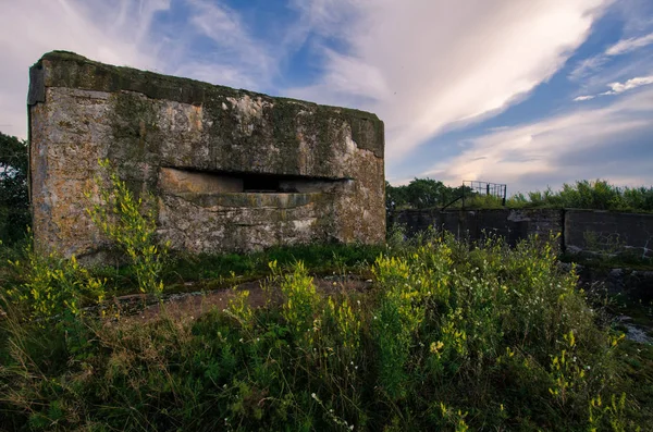 Abandoned old firing point of coastal defense of the Second World War. There are aged concrete walls and a loophole for a machine gun. Grass grows around. Scenery. Background.