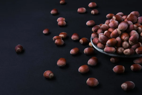 Hazelnut Isolated Black Background Set Collection — ストック写真