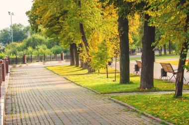 Sonbahar park güneşli sokakta renkli ağaç