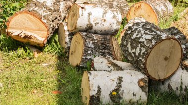 Bir odun yığını.