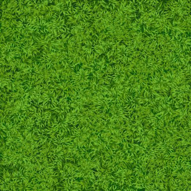 Doğal gerçekçi yeşil çim doku arka plan. Futbol çim üst şablonu.