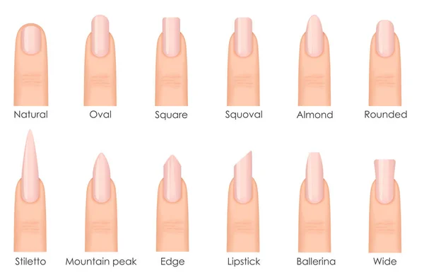 Different fashion nail shapes. Set kinds of nails. Fashion nails type trends. Beauty spa salon woman fingernails set. — Stock Vector