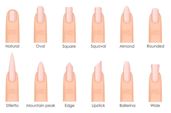 Different fashion nail shapes. Set kinds of nails. Fashion nails type trends. Beauty spa salon woman fingernails set.