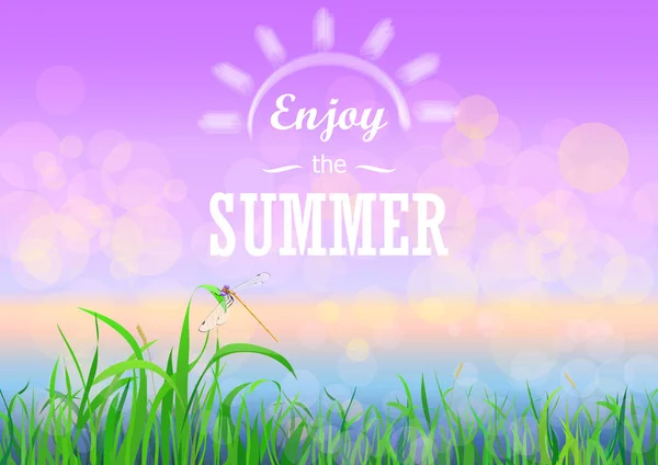 Grünes Gras mit Bokeh Sonnenuntergang Himmel. Genießen Sie den Sommerurlaub Text auf der floralen Natur Sommer Frühling Hintergrund. — Stockvektor