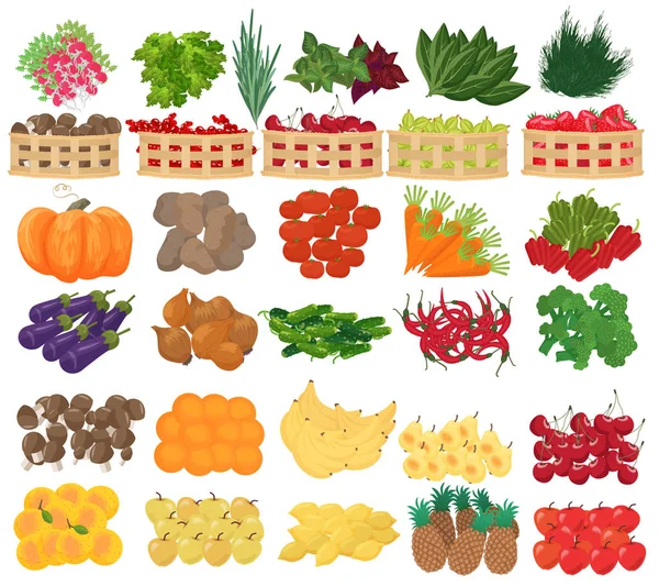 Coleta de ilustrações vetoriais de qualidade premium de frutas, frutas e legumes no supermercado . — Vetor de Stock