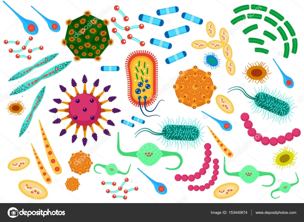 бактерии фон. микробиология рисунок. микроорганизмы в микроскопе. микробы и бактерии. микробы и вирусы под микроскопом.