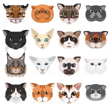 Kedi kafaları simgeleri ifadeleri vektör set.