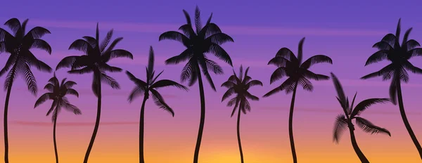 Palm coconut trees Silhouette at sunset or sunrise. Realistic banner vector illustration. Beach paradise. — Stock Vector