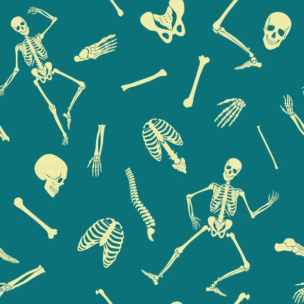 Vektor menschliches Skelett nahtloses Muster mit verschiedenen einzelnen Knochen und Schädeln. — Stockvektor