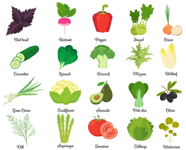 Σύνολο των νόστιμα λαχανικά — Διανυσματικό Αρχείο
