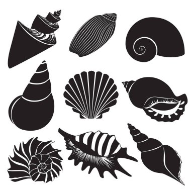 Vector sea shells. Seashell silhouettes set isolated. clipart