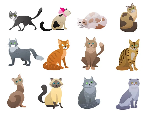 Vector Funny and cute cartoon Cat different breeds pet characters set. — Stock Vector