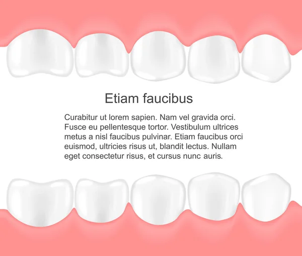 Denti umani in bocca infografica. Concetto di cura dentale . — Vettoriale Stock