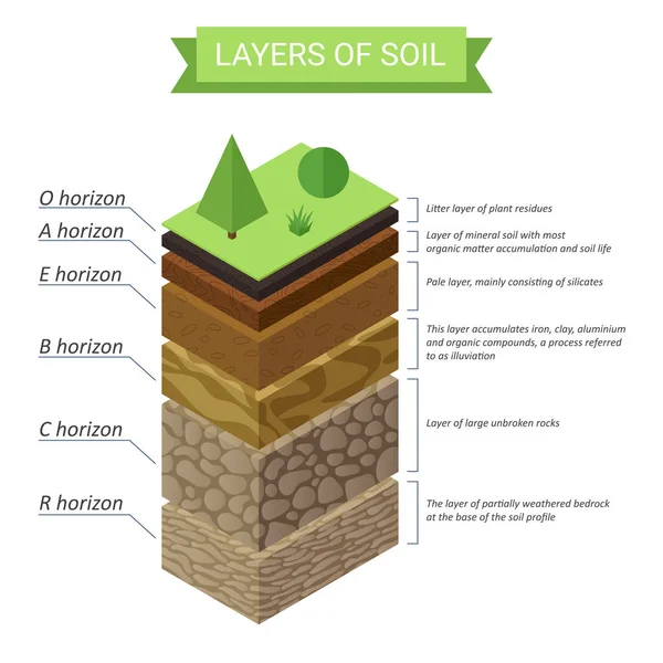 Vector Soil Layers isometric diagram. Underground soil layers diagram. — Stock Vector