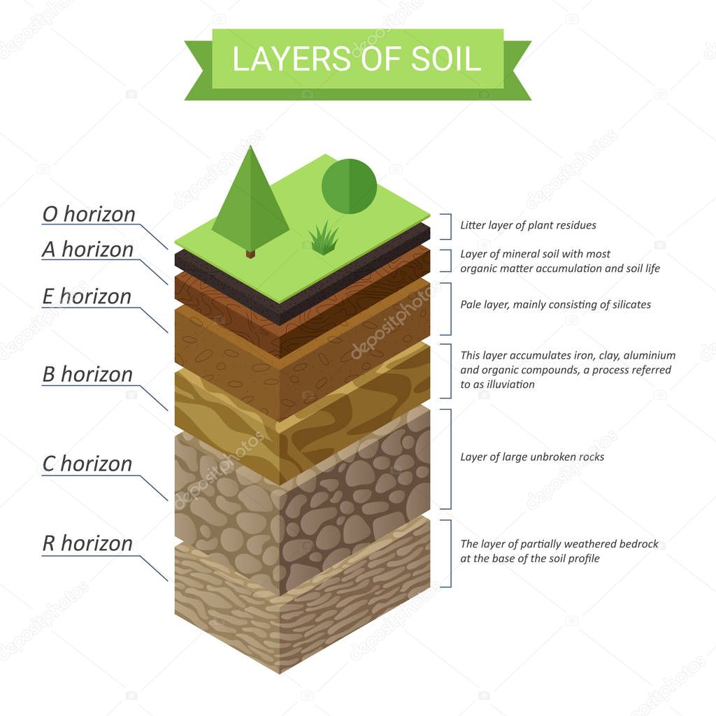 Vector Soil Layers isometric diagram. Underground soil layers diagram.