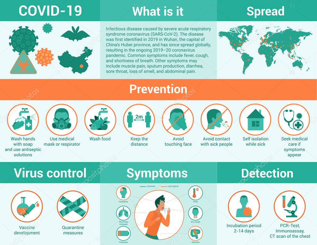Detailed information about coronavirus, covid 19 infographic flat vector illustration. Everything you need to know at pandemic, definition, spread, prevention, virus control, symptoms, detection.