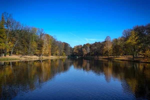 Herbstliche Farben im Park — Stockfoto