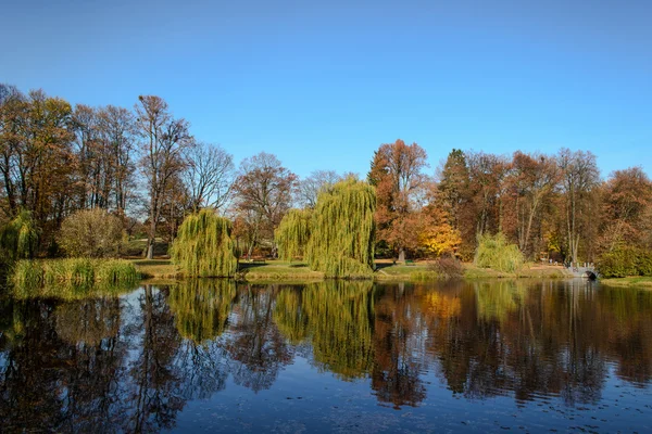 Herbstliche Farben im Park — Stockfoto