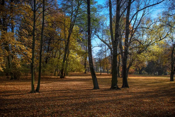 Cores de outono no parque — Fotografia de Stock