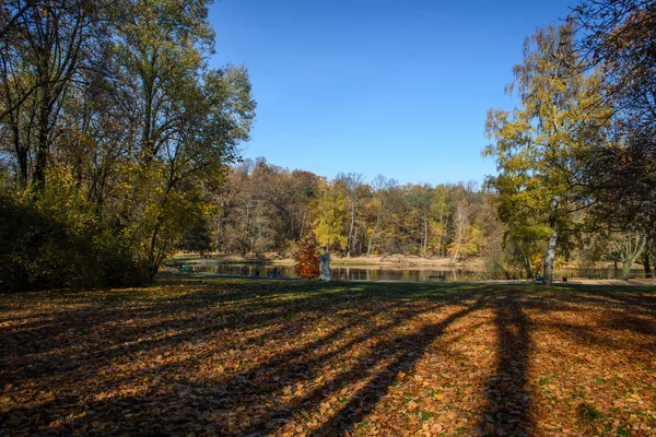 Höst - färgerna i träd — Stockfoto