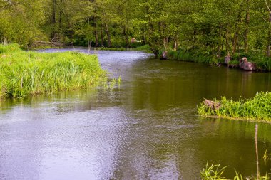 River Grabia, Poland