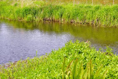 River Grabia, Poland