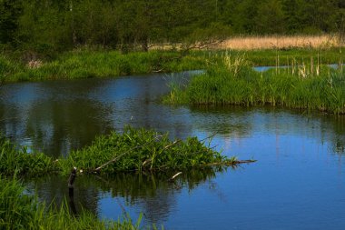 River Grabia, Poland