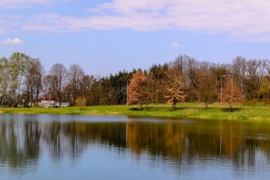Staw - wiosna w Konstantynowie dzkim, Polska