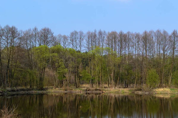 I centrala Polen. — Stockfoto