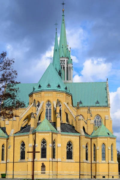 Katedra w mieście Łódź — Zdjęcie stockowe