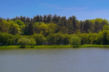 Gölet dinlenme yeri olarak