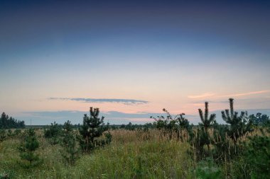 Sunset bulvarında bir yaz akşamı