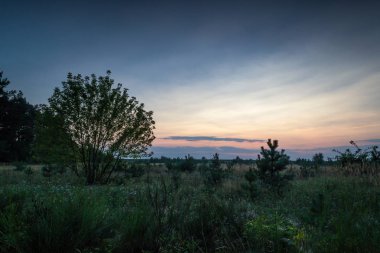 Sunset bulvarında bir yaz akşamı