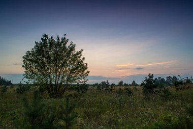 Sunset bulvarında bir yaz akşamı
