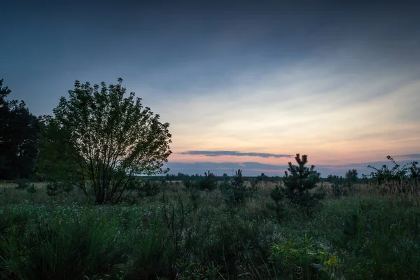 Sunset bulvarında bir yaz akşamı