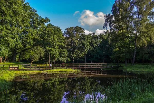 Teich von der Sonne erleuchtet — Stockfoto