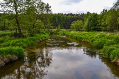Aralarında sallayarak küçük bir nehir