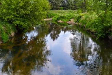 Aralarında sallayarak küçük bir nehir
