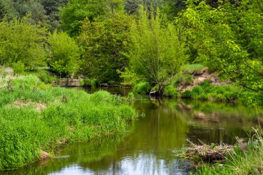 Nehir Merkez Polonya.