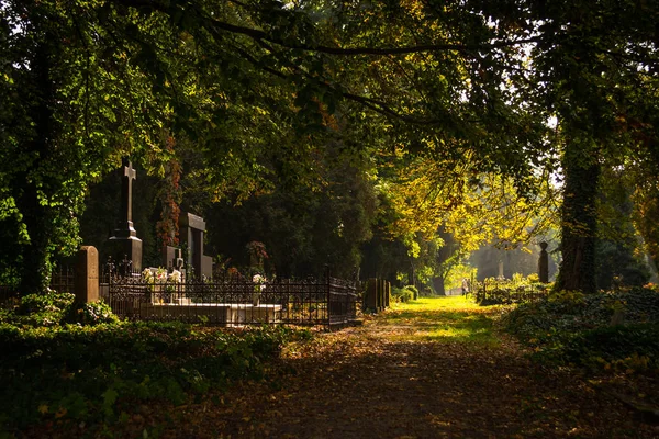 Old cemetery in Lodz, Poland Stock Image
