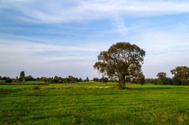 Sonbahar akşam günbatımı