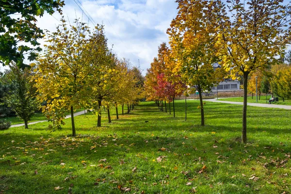 Parque en Lodz, Polonia — Foto de Stock