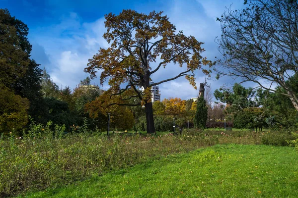 Park w Łódź, Polska — Zdjęcie stockowe