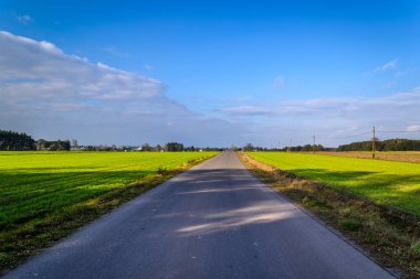 Sonbahar kırpma alanları ile tahıl ekili