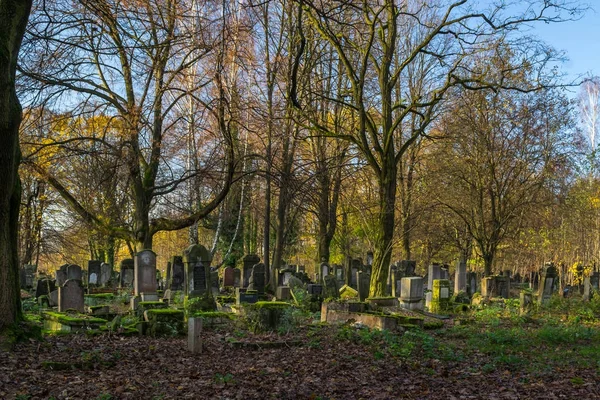 Cementerio judío histórico en la ciudad de Lodz, Polonia — Foto de Stock