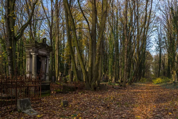 Zabytkowy cmentarz żydowski w mieście Łódź — Zdjęcie stockowe