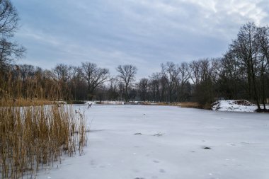 Bir kış akşamı ayar güneş tarafından aydınlatılmış bir donmuş gölet.