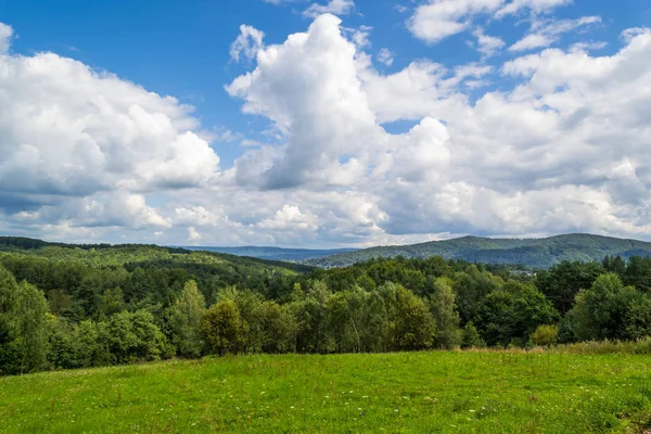 Groene Heuvels Van Bieszczadzki Bergen Polen — Stockfoto