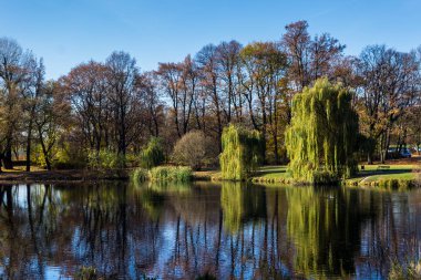 Bir su birikintisi sonbahar renkleri ile Park