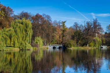 Bir su birikintisi sonbahar renkleri ile Park